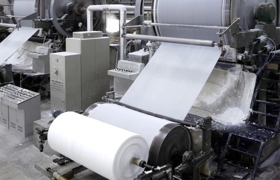 Pulp & Paper
