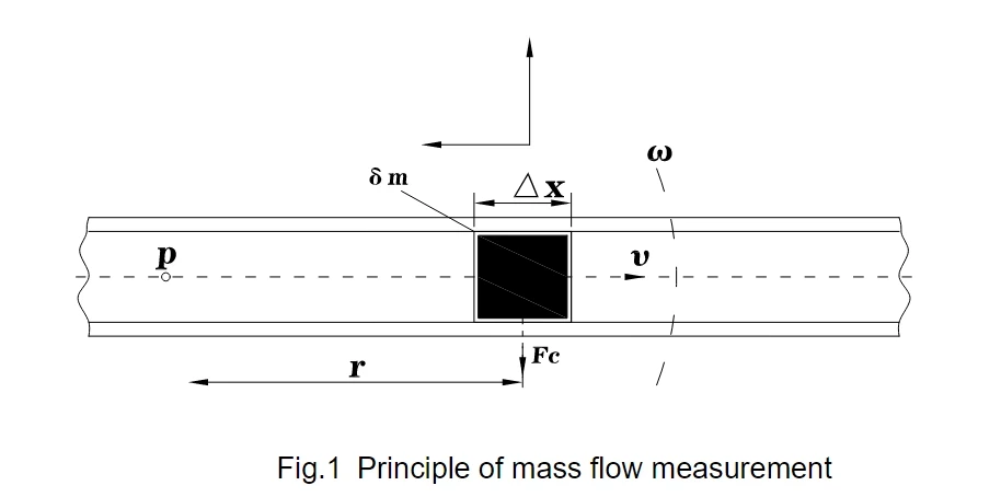 A Coriolis Flow Meter Guide: Principle|Applications|Maintenance|Installation