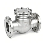 Check valve