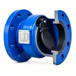 Check valve