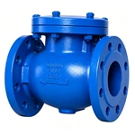 Check valve