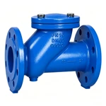 Check valve