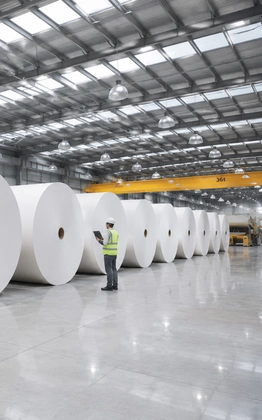 Pulp & Paper