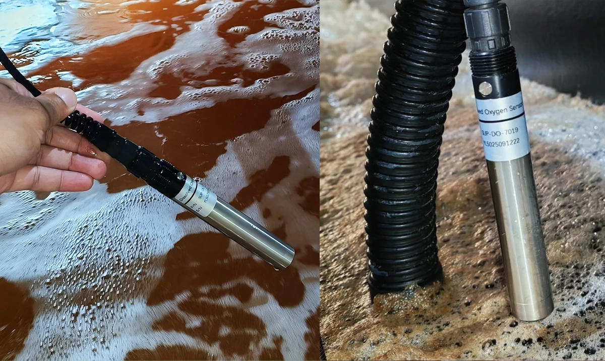 Dissolved Oxygen Monitoring for Aquaculture Water Treatment in Singapore