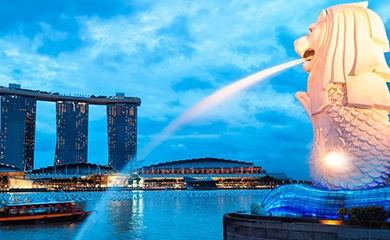 За лучший сервис – основана компания Supmea Singapore