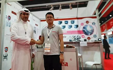 Informe WETEX 2019 en Dubai
