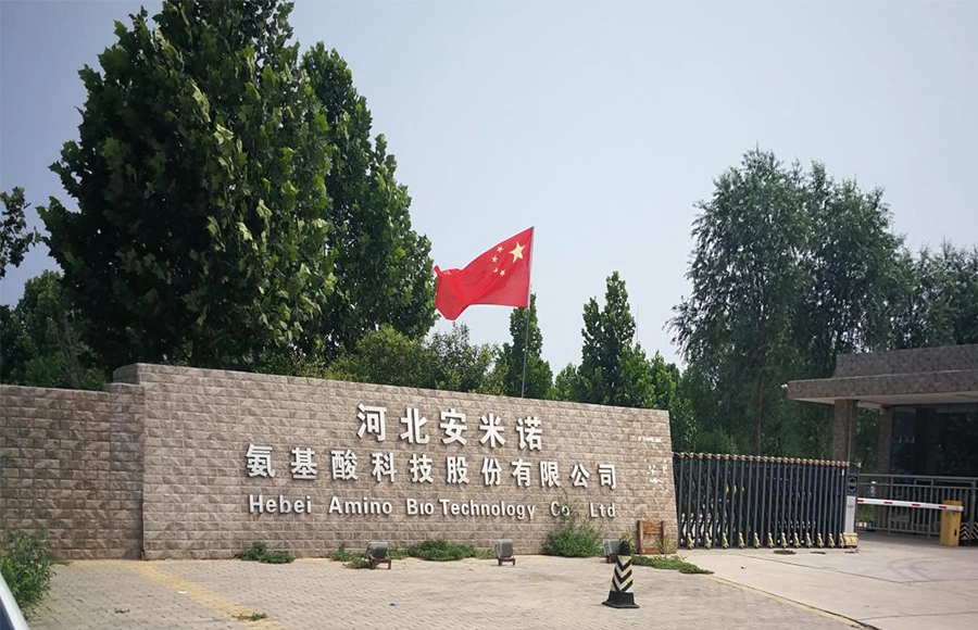 Hebei Amino-Aminosäure-Technologie-Durchflussmesseranwendung