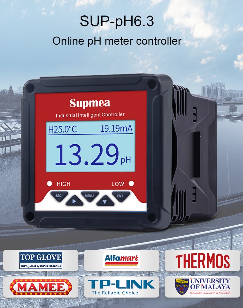 online pH meter.jpg