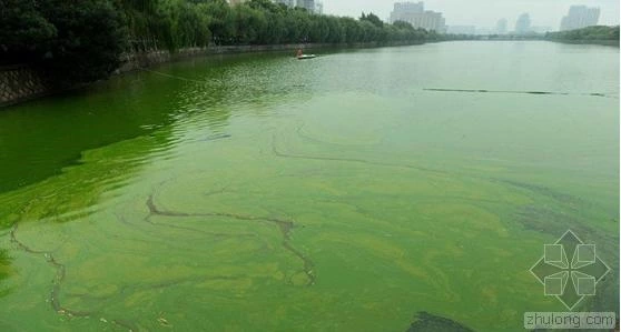мониторинг качества воды, счетчик