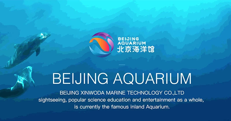 Supmea contribue à l'aquarium numérique de Pékin