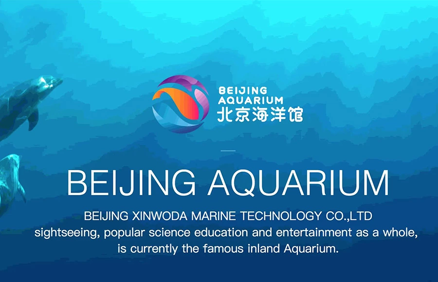 Supmeaが北京水族館デジタル化に貢献